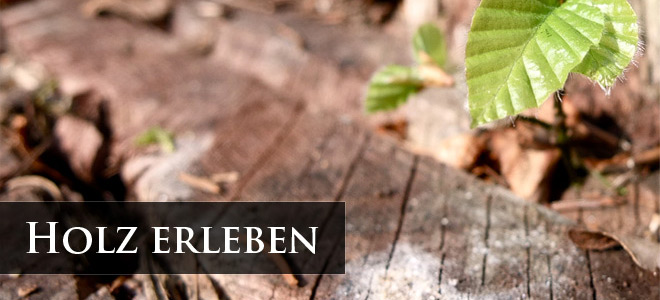 Holz erleben